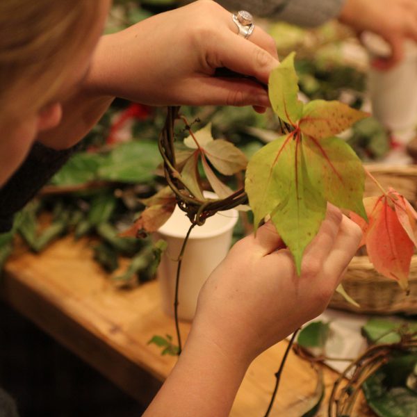 A person tending to a small potted plant.